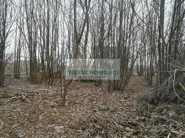 Grodziski, Grodzisk Mazowiecki