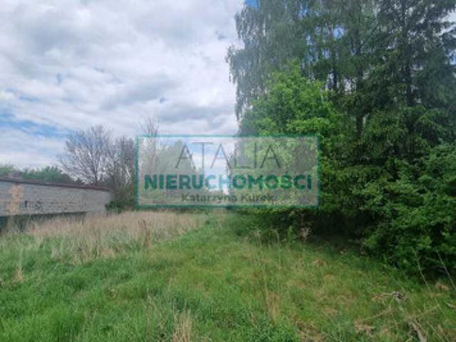 Grodziski, Grodzisk Mazowiecki