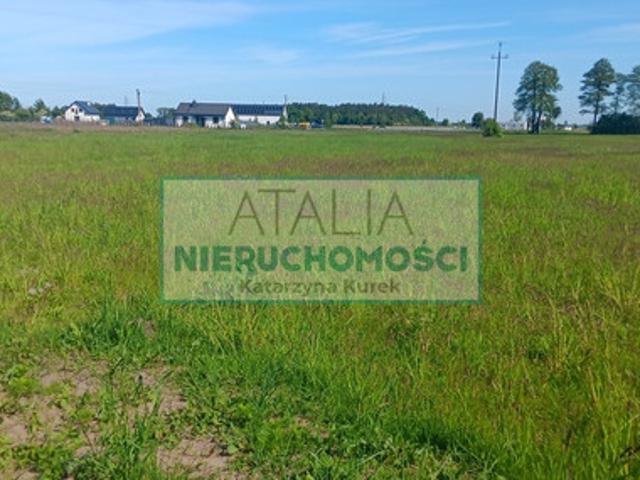 Grodziski, Grodzisk Mazowiecki