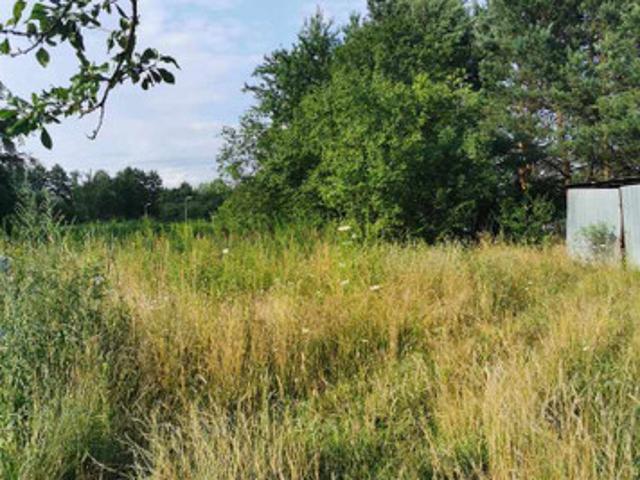 Grodziski, Grodzisk Mazowiecki