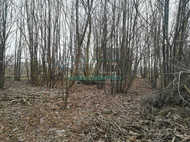Grodziski, Grodzisk Mazowiecki
