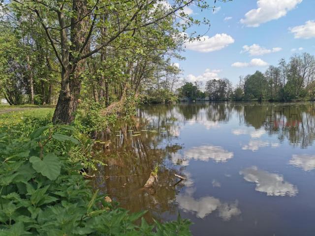 Grodziski, Grodzisk Mazowiecki