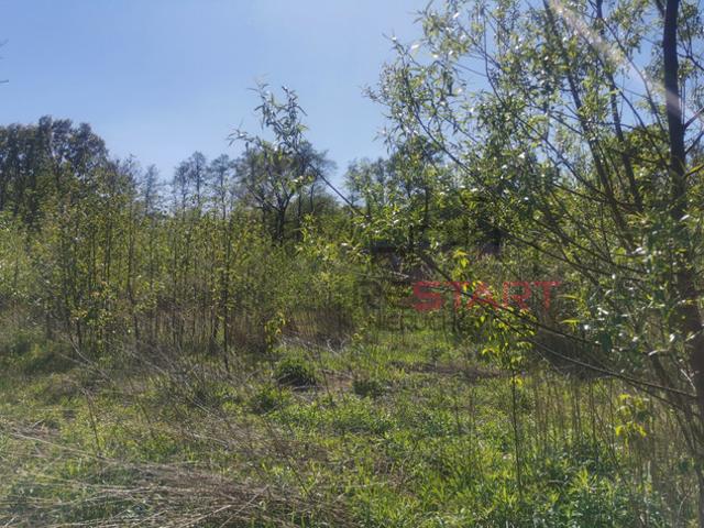 Grodziski, Grodzisk Mazowiecki