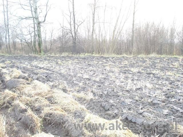 Grodziski, Grodzisk Mazowiecki