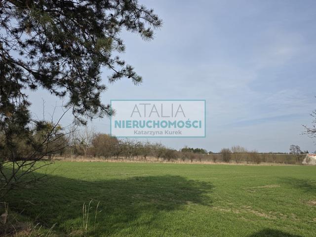 Grodziski, Grodzisk Mazowiecki
