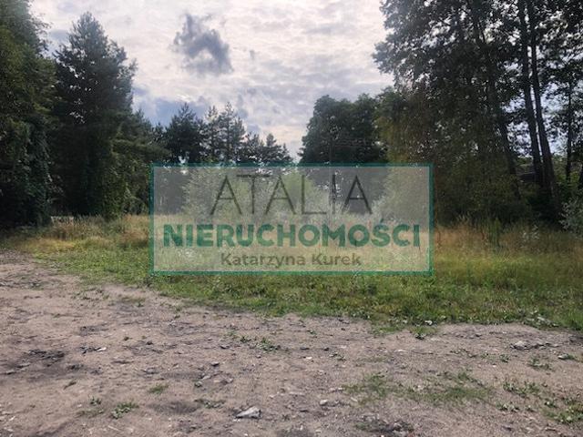 Grodziski, Grodzisk Mazowiecki