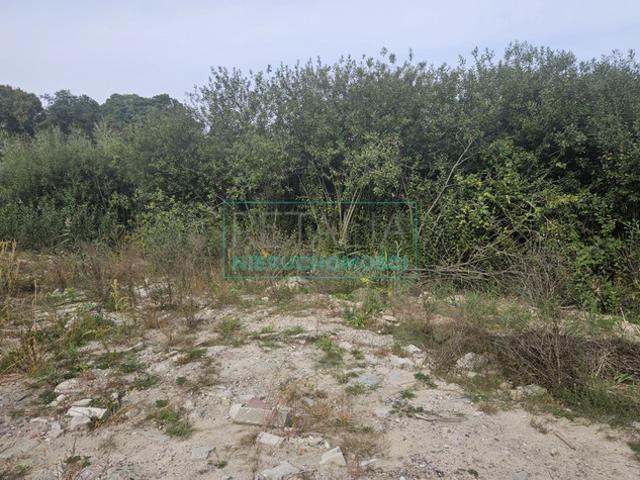 Grodziski, Grodzisk Mazowiecki