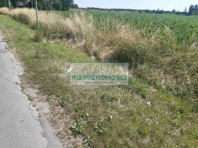 Grodziski, Grodzisk Mazowiecki