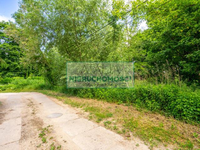 Grodziski, Grodzisk Mazowiecki