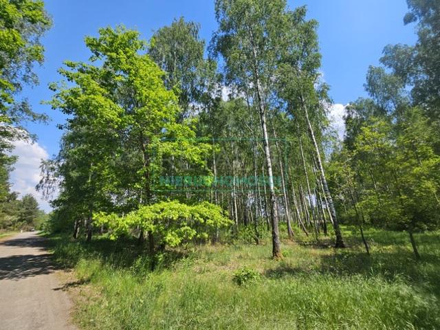 Grodziski, Grodzisk Mazowiecki