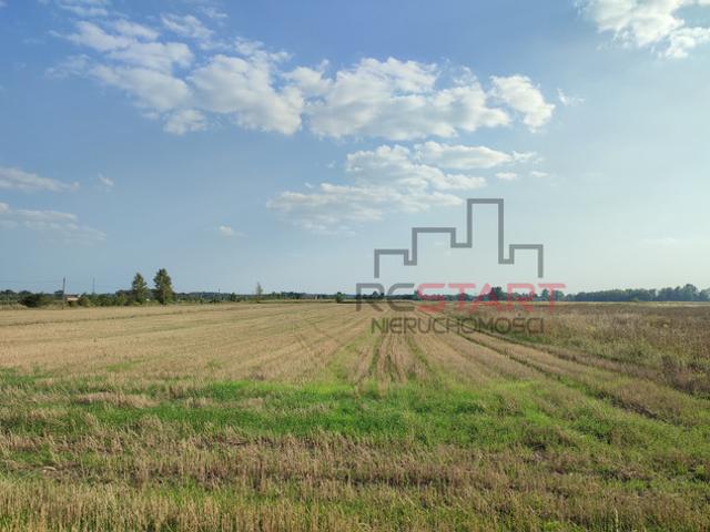 Grodziski, Grodzisk Mazowiecki, Żuków