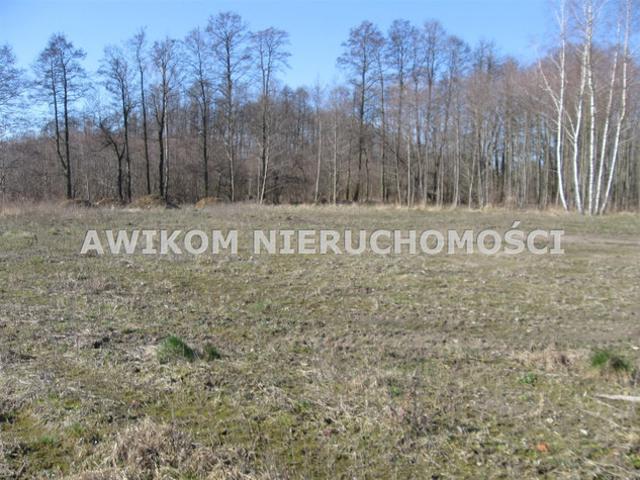 Grodziski, Grodzisk Mazowiecki, Władków