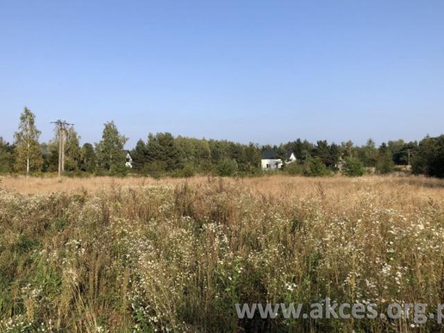 Grodziski, Grodzisk Mazowiecki, Władków