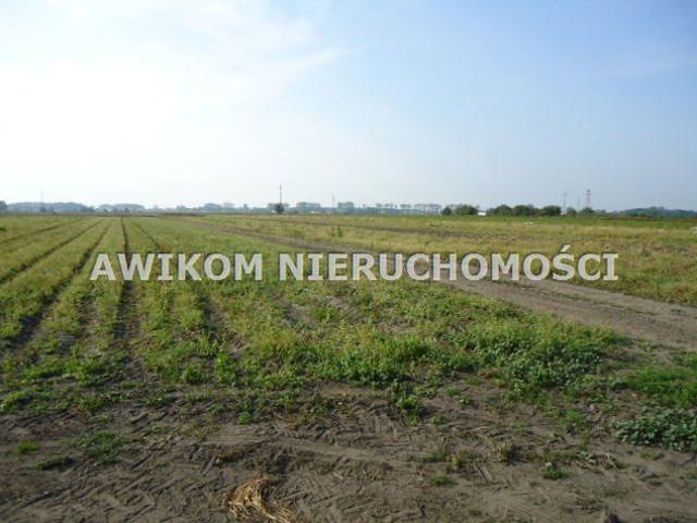 Grodziski, Grodzisk Mazowiecki, Chlebnia