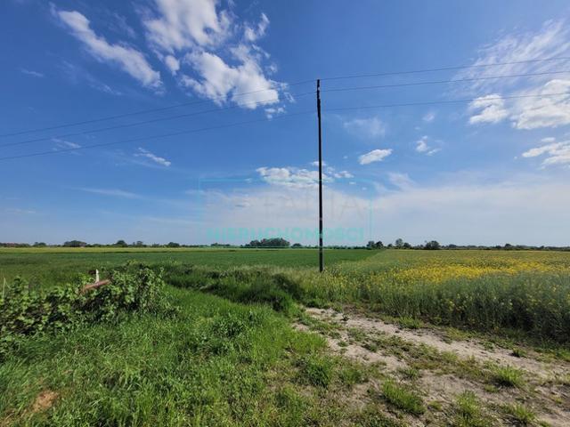 Grodziski, Grodzisk Mazowiecki, Chlebnia