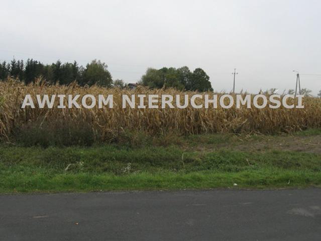 Grodziski, Grodzisk Mazowiecki, Kłudno Nowe
