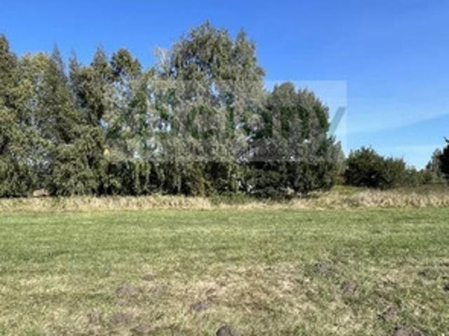 Grodziski, Grodzisk Mazowiecki, Kozery