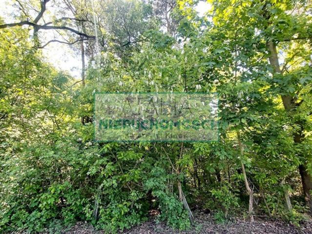 Grodziski, Grodzisk Mazowiecki, Książenice