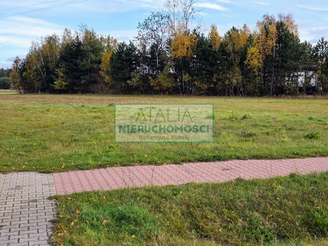 Grodziski, Grodzisk Mazowiecki, Książenice