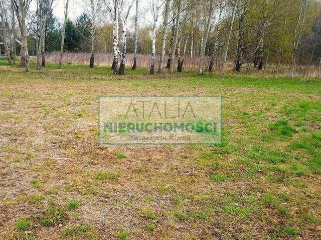 Grodziski, Grodzisk Mazowiecki, Książenice