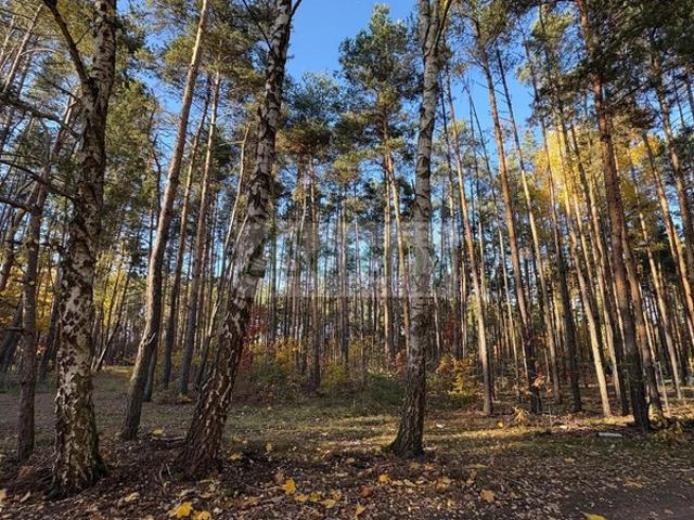 Grodziski, Grodzisk Mazowiecki, Marynin