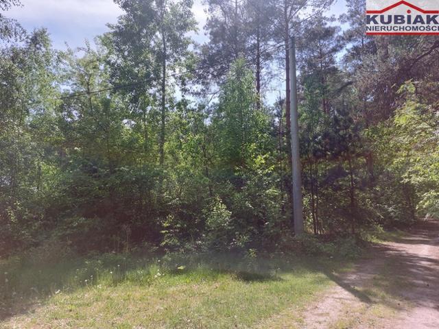 Grodziski, Grodzisk Mazowiecki, Marynin