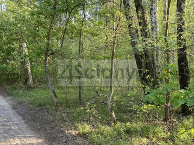 Grodziski, Grodzisk Mazowiecki, Marynin
