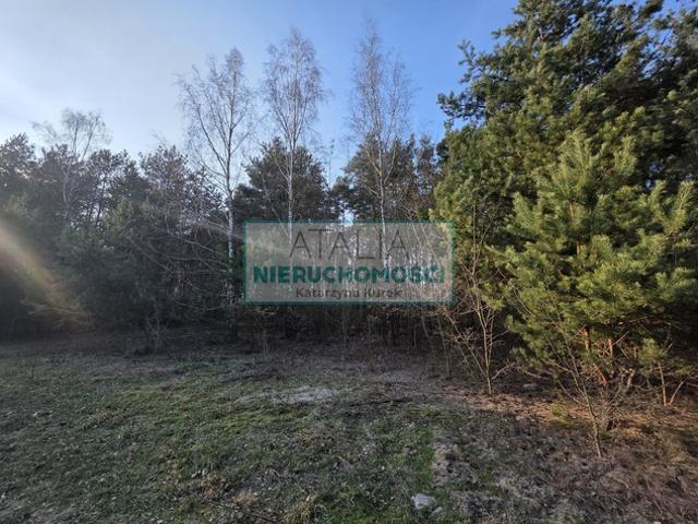 Grodziski, Grodzisk Mazowiecki, Mościska