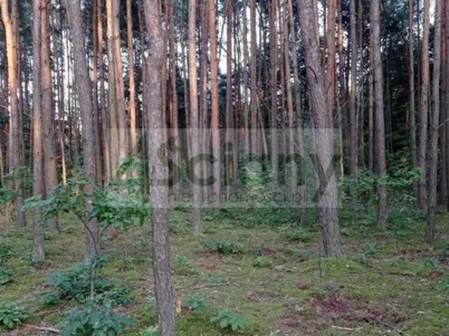 Grodziski, Grodzisk Mazowiecki, Mościska