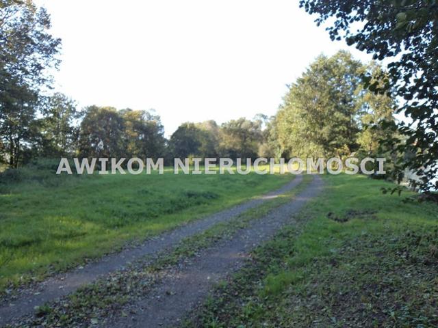 Grodziski, Grodzisk Mazowiecki, Odrano Wola