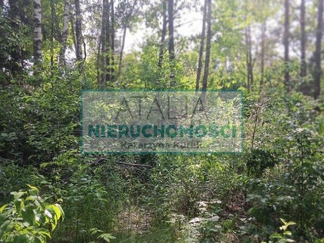 Grodziski, Grodzisk Mazowiecki, Opypy