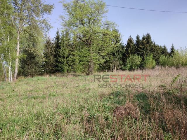Grodziski, Grodzisk Mazowiecki, Opypy