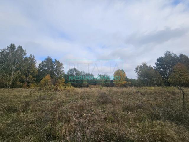 Grodziski, Grodzisk Mazowiecki, Radonie