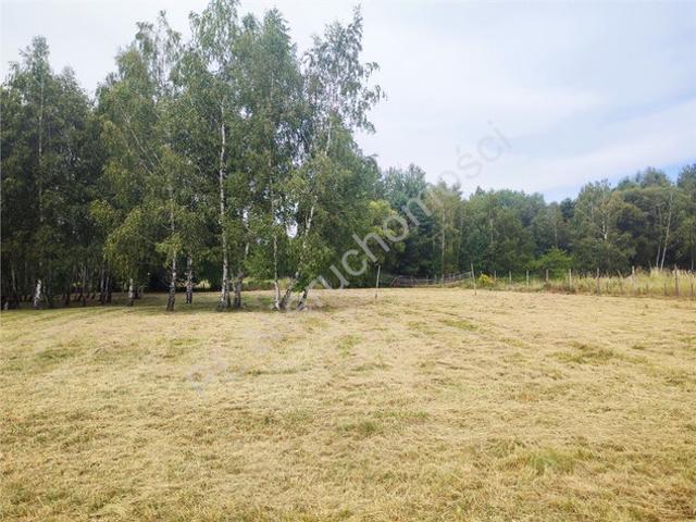 Grodziski, Grodzisk Mazowiecki, Radonie