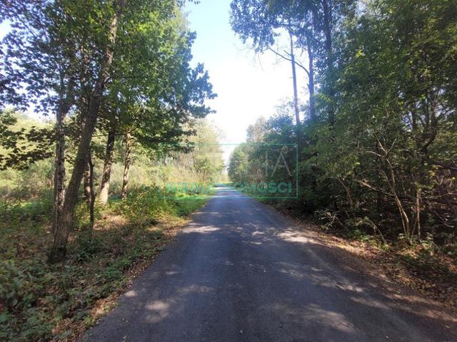 Grodziski, Grodzisk Mazowiecki, Radonie