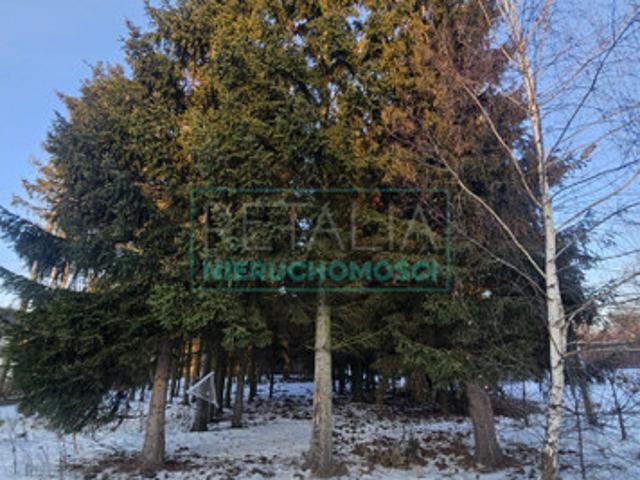 Grodziski, Grodzisk Mazowiecki, Radonie