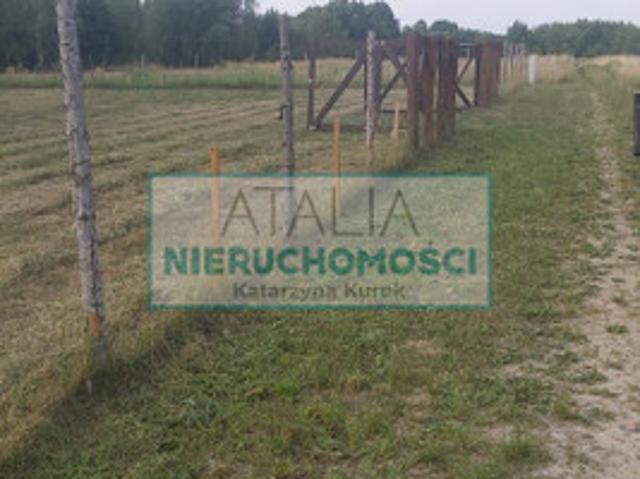 Grodziski, Grodzisk Mazowiecki, Radonie