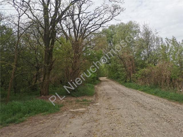 Grodziski, Kłudno Nowe