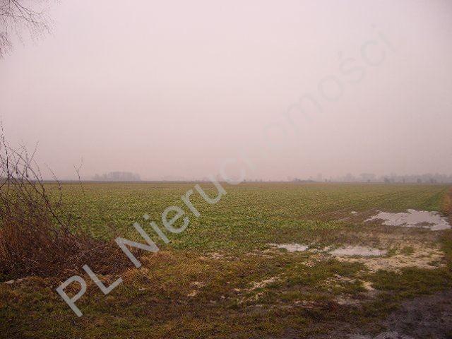 Grodziski, Kłudno Nowe