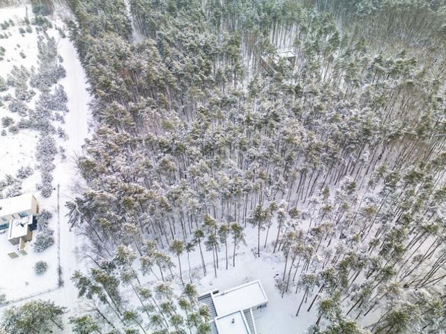Grodziski, Książenice