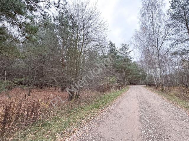 Grodziski, Książenice