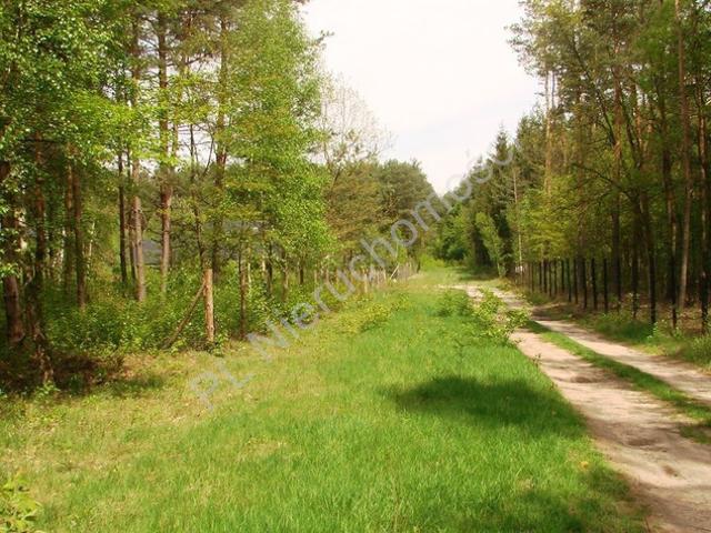 Grodziski, Książenice