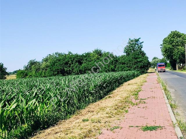 Grodziski, Izdebno Kościelne