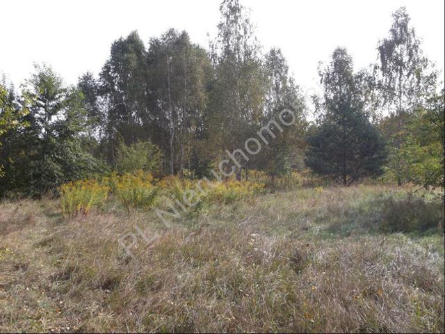 Grodziski, Opypy