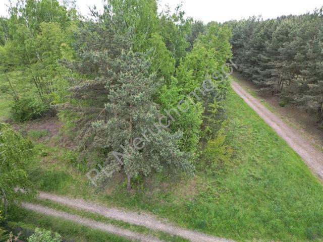 Grodziski, Makówka