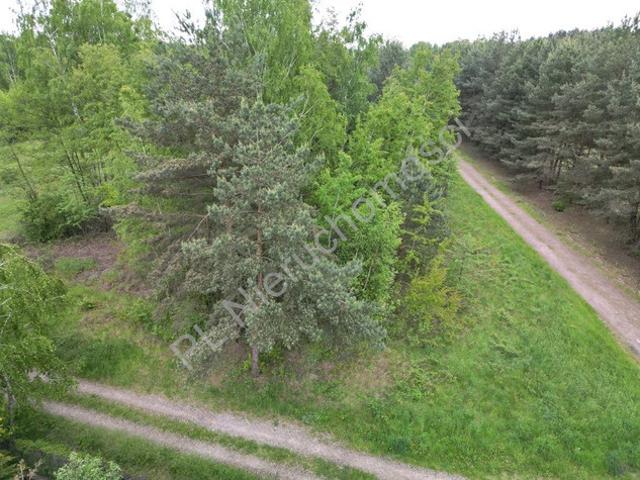 Grodziski, Makówka