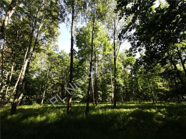 Grodziski, Milanówek