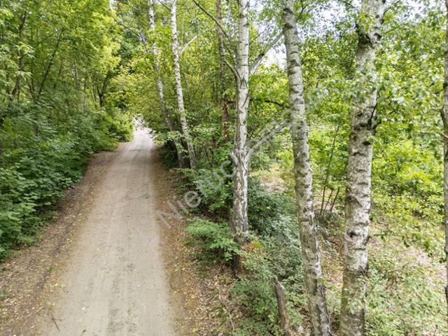 Grodziski, Milanówek