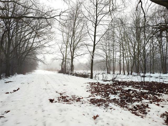 Grodziski, Milanówek