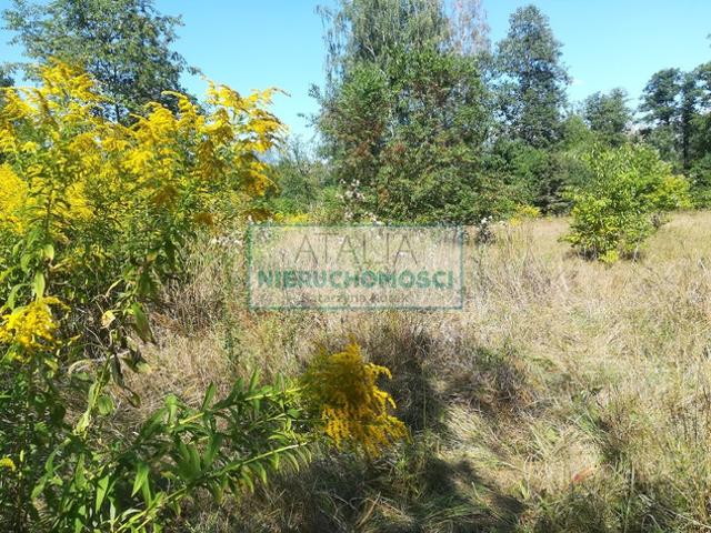 Grodziski, Milanówek
